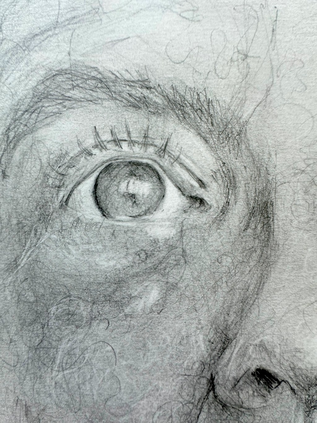 Day 134/366 – Rollercoaster of&nbsp;emotions!